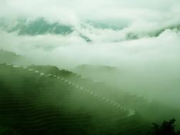 green mist over the mountains