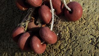 brown floats for fishing