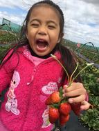 A screaming child with strawberries