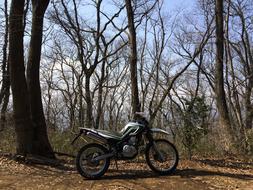 Sports Traffic bike in forest