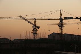 cranes silhouette at sunset