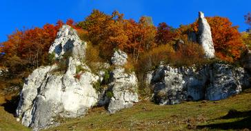 Autumn Paternity National Park