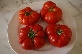 ripe tomatoes large in the plate