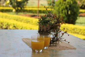 Nature Orange Breakfast