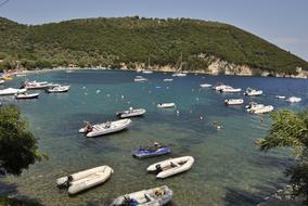 boats by the water