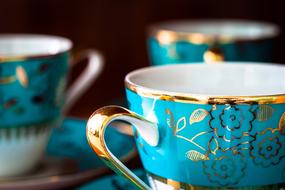 Set Potty Cup blue