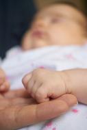Little Life, hand of baby on fingers of adult person, Closeup