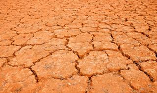 desert mud dry dried without life