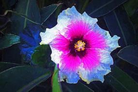 hollyhocks flower art photopainting
