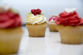 Colorful cream cupcakes