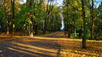 Landscape View Nature