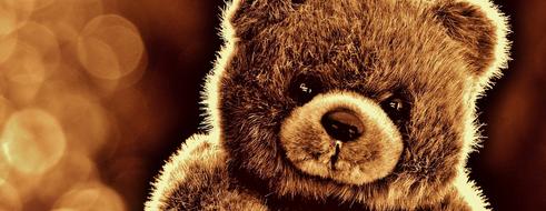 cute Bear Teddy Soft Toy