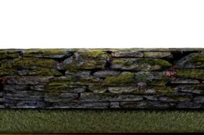 stone wall with moss