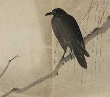 japanese drawing black raven on a branch