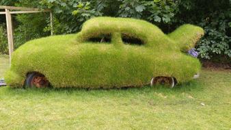 Car Grass Vehicle