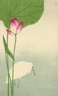 painted white heron and pink lotus