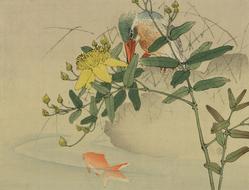 Beautiful and colorful watercolour drawing with the plants with flowers, bird and swimming fish, clipart