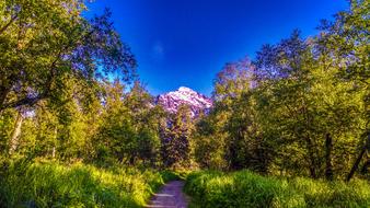 Alaska Eagle River Nature Center