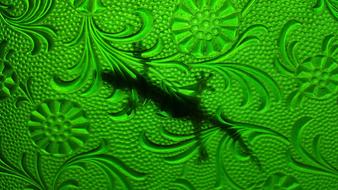 Glass Gecko Pattern green drawing