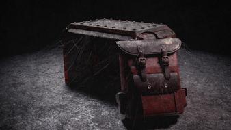 spiderweb cobweb box backpack
