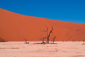 Arid Barren Desert