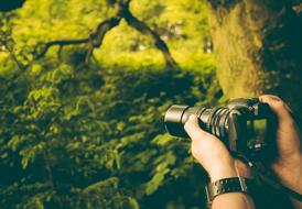 Camera in male Hands outdoor
