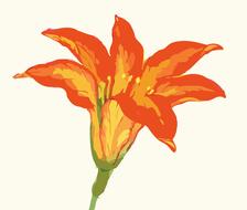 flower floral blooming petals