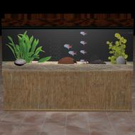 aquarium fish wels plant glass