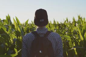 young man with backpack with a cap on a green field