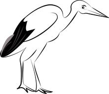 stork bird as a drawing
