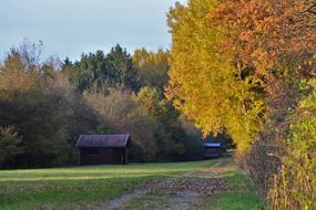 An old house standing in an autumn glade