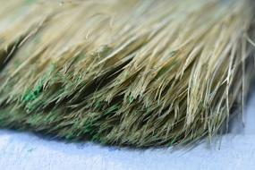 close up brush hairs