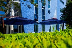 blue building on background of flowers