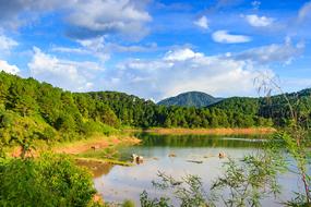 Beautiful landscape with the water, among the green trees and mountains