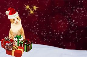 wallpaper with Christmas cat