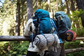 hiking Outdoor Forest