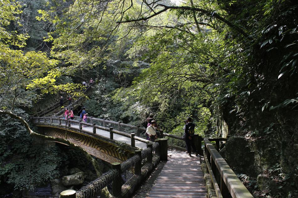 people walking on the bridge in the park