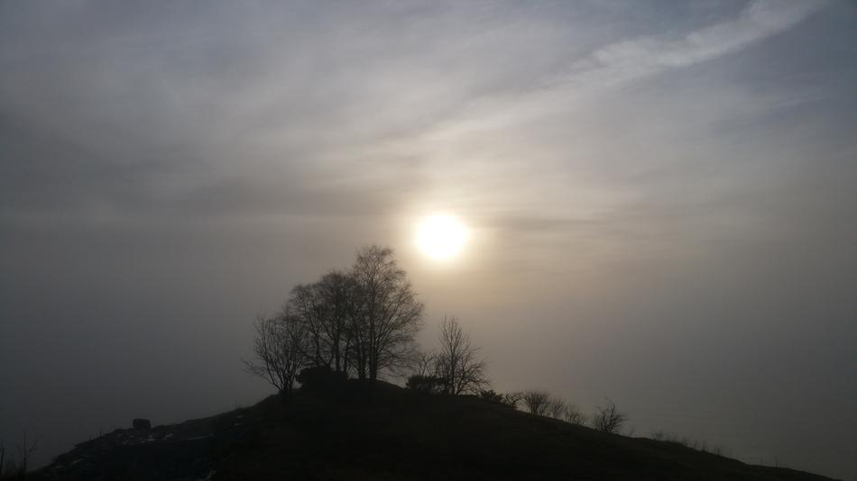 Fog Sun Nature Photography