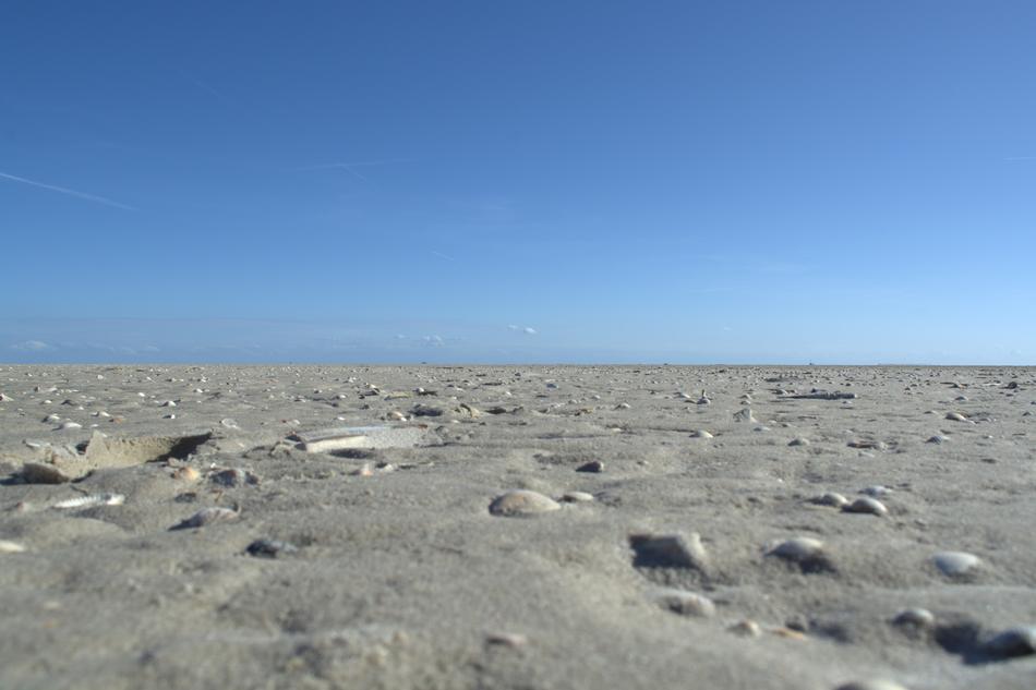 Norderoogersand Protection Zone