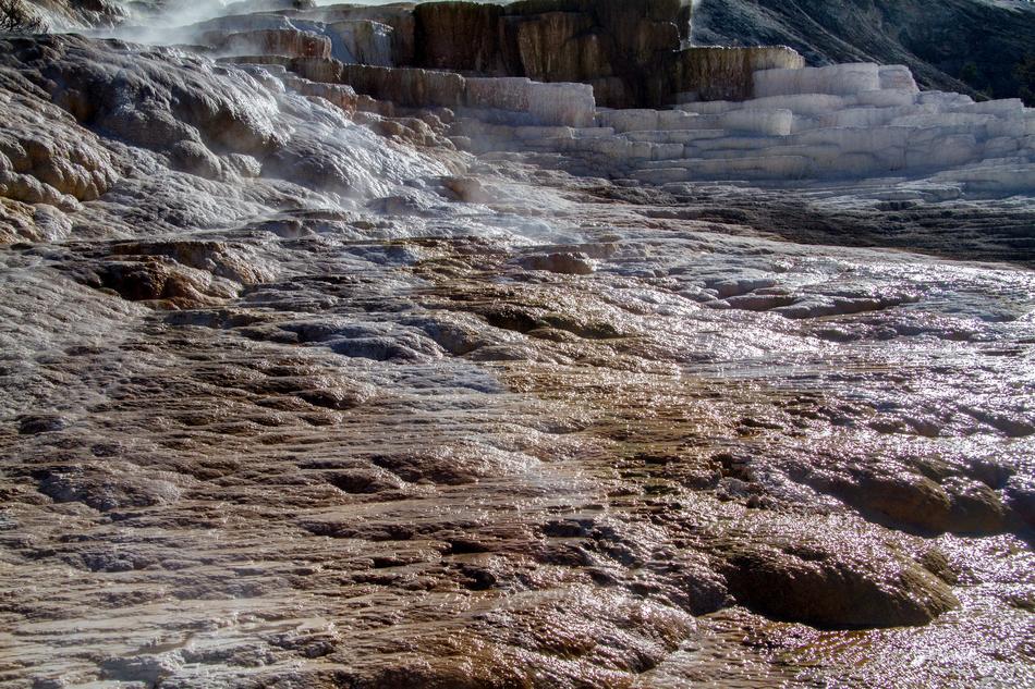 Yellowstone National Park Wyoming