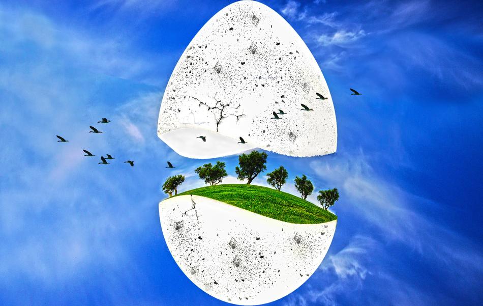egg trees sky illustration