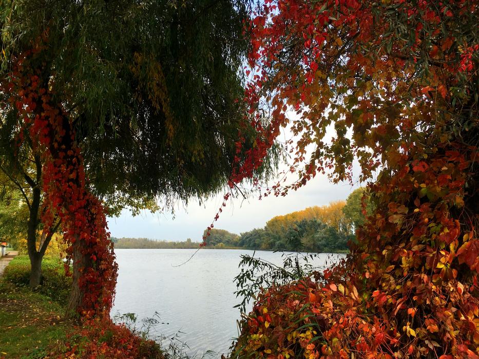Nature Landscape Autumn