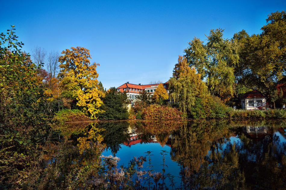 great view of the houses and trees