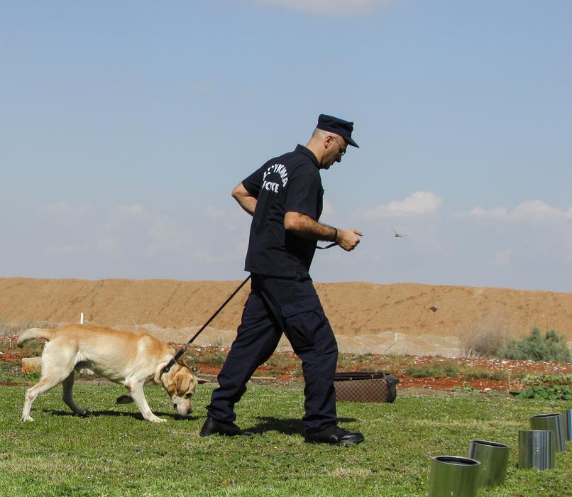 Police officer training the beautiful dog on green grass