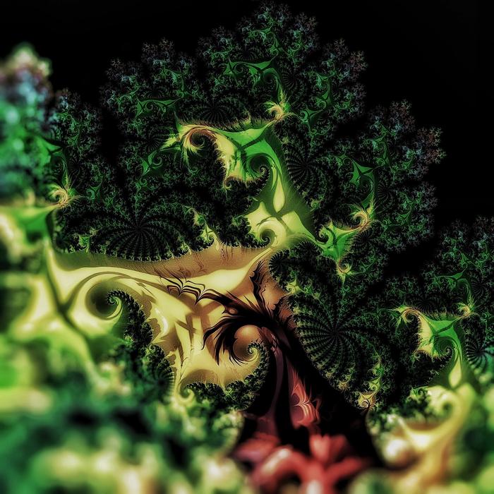 fractal cauliflower green rendered