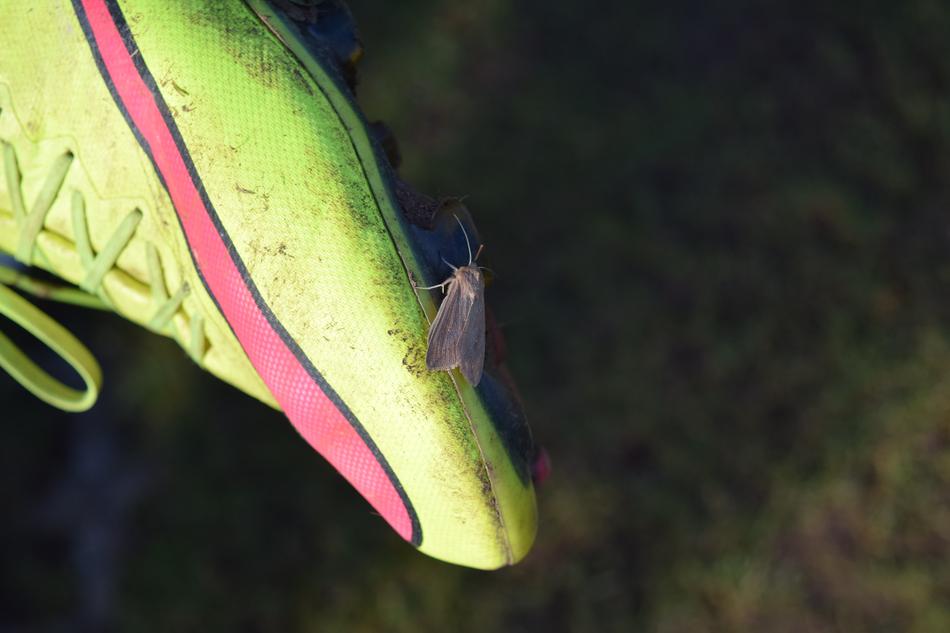 Football Shoe Earth