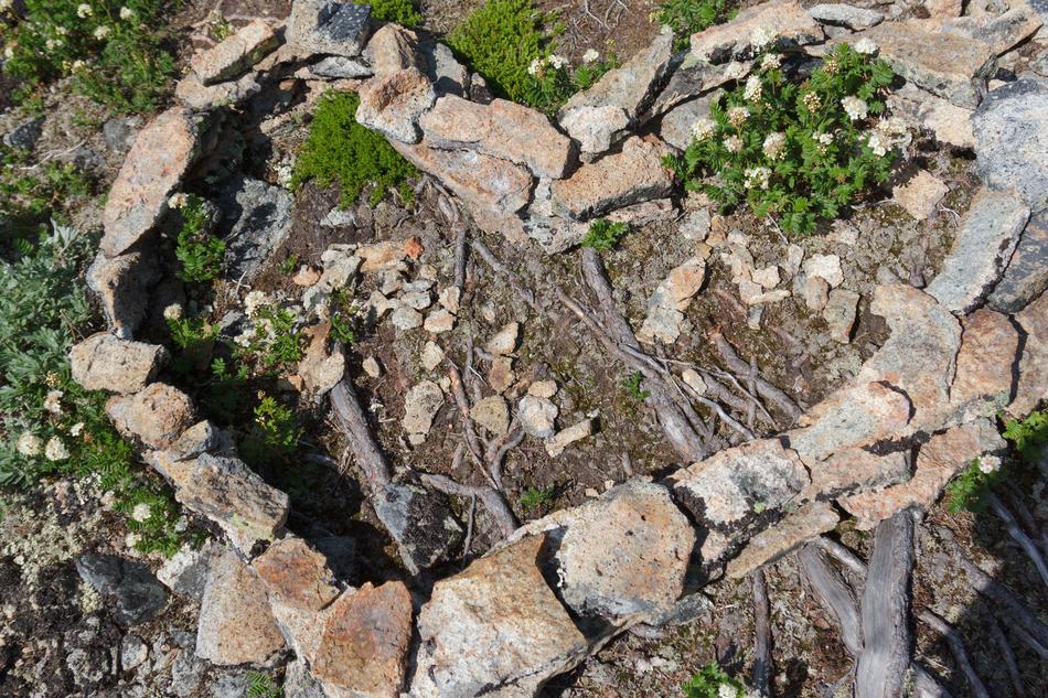 Heart Stone Nature Root
