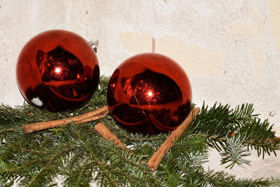 Christmas ball on the branches of a tree