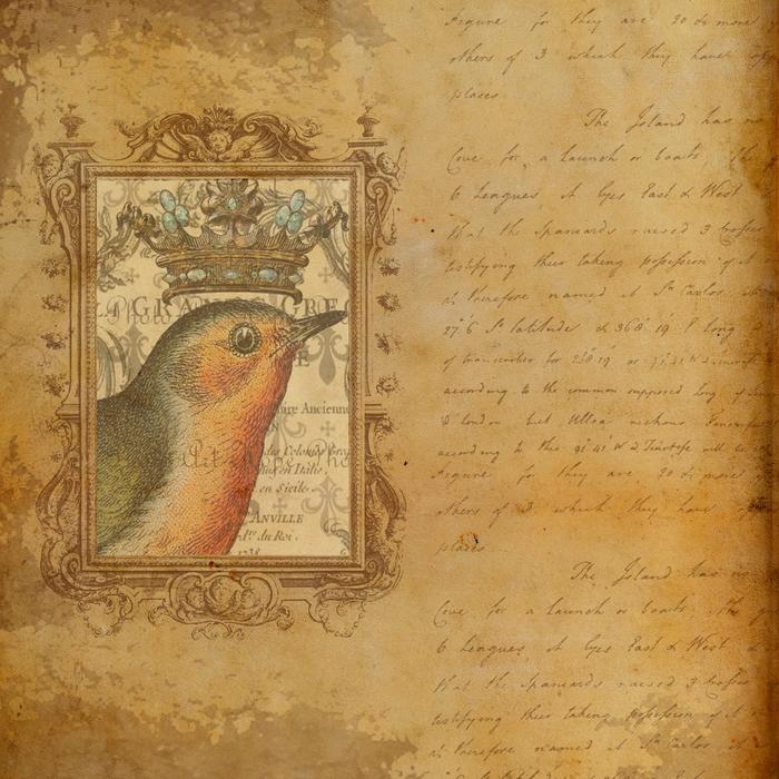 Beautiful, vintage paper drawing with the colorful bird with the crown