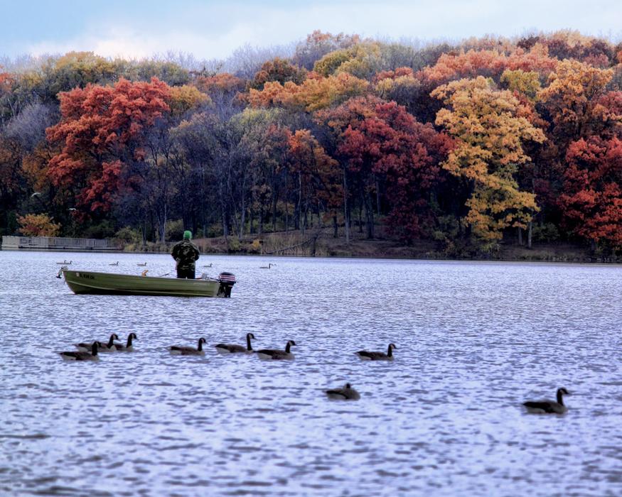 Boat Fish Autumn